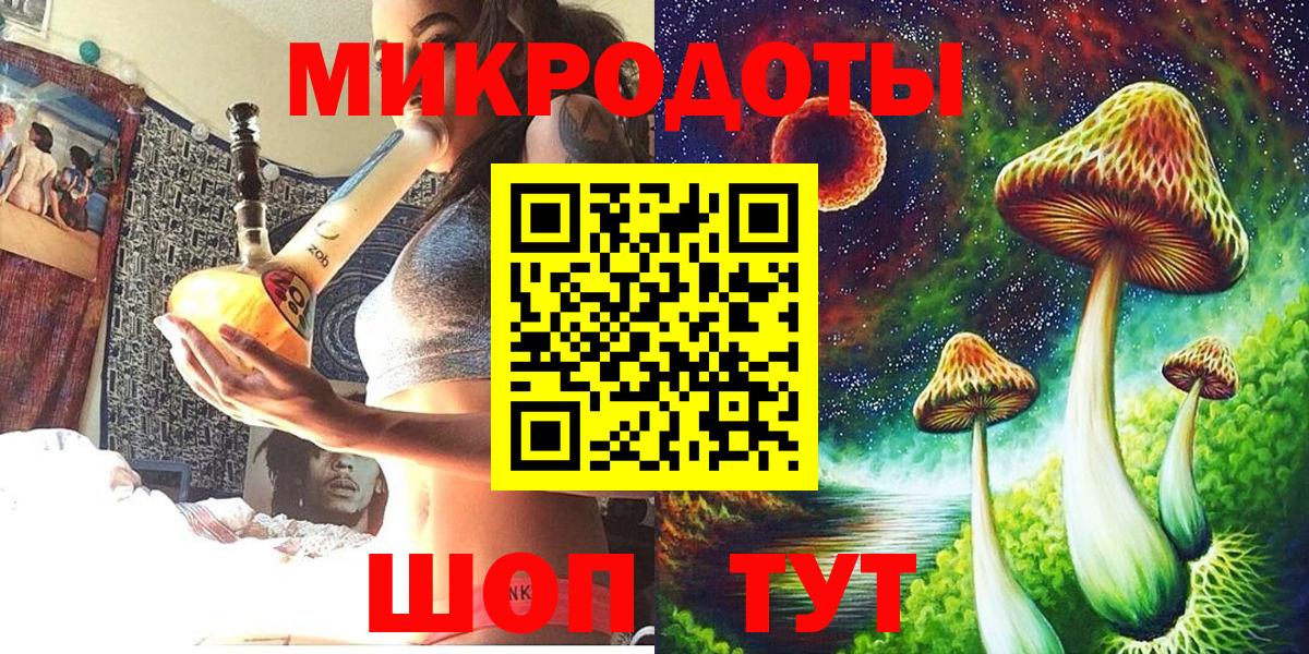 Псилоцибиновые грибы Psilocybe Осинники